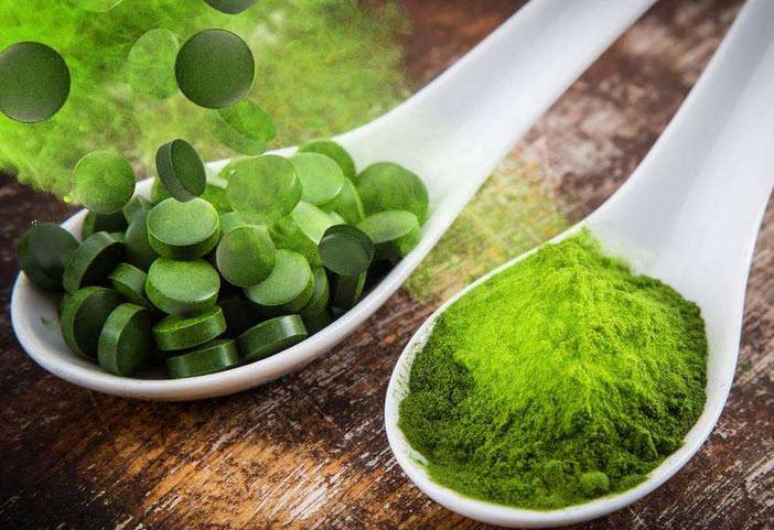 螺旋藻硬汉视频的官网在线观看